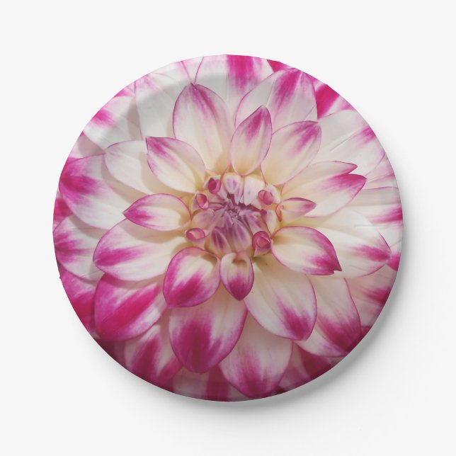 Prato De Papel Beaux (Frente)