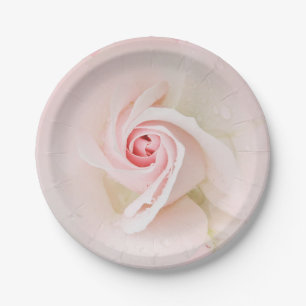 Prato De Papel Bela Rosa Molhada Suave Rosa Elegante Chuveiro de 