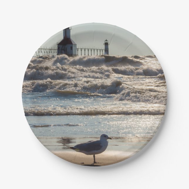 Prato De Papel Beleza E Força (Frente)