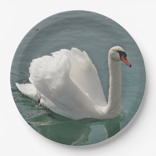 Prato De Papel Belo cisne branco