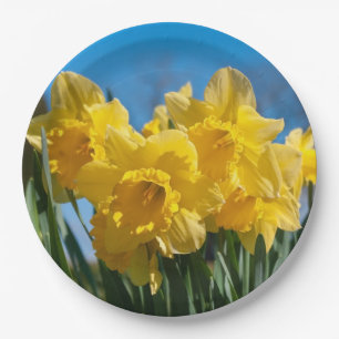 Prato De Papel Belos Daffodilos Amarelos