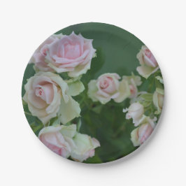 Prato De Papel Belos rosas de jardim de rosas claro