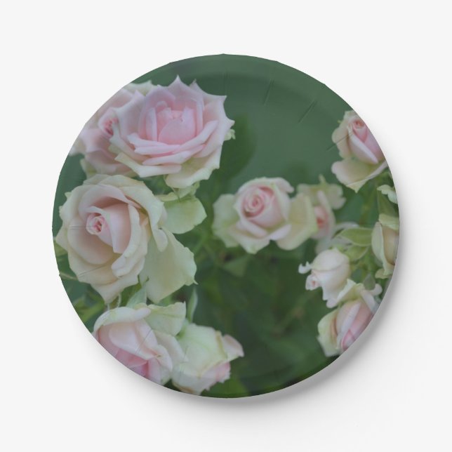 Prato De Papel Belos rosas de jardim de rosas claro (Frente)