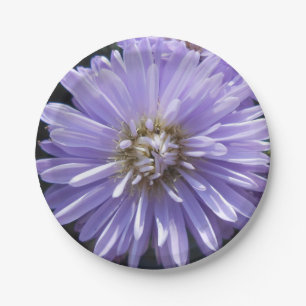 Prato De Papel Berlinette