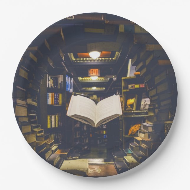 Prato De Papel Biblioteca Livros Prateleiras Abrir Livro Lido (Frente)