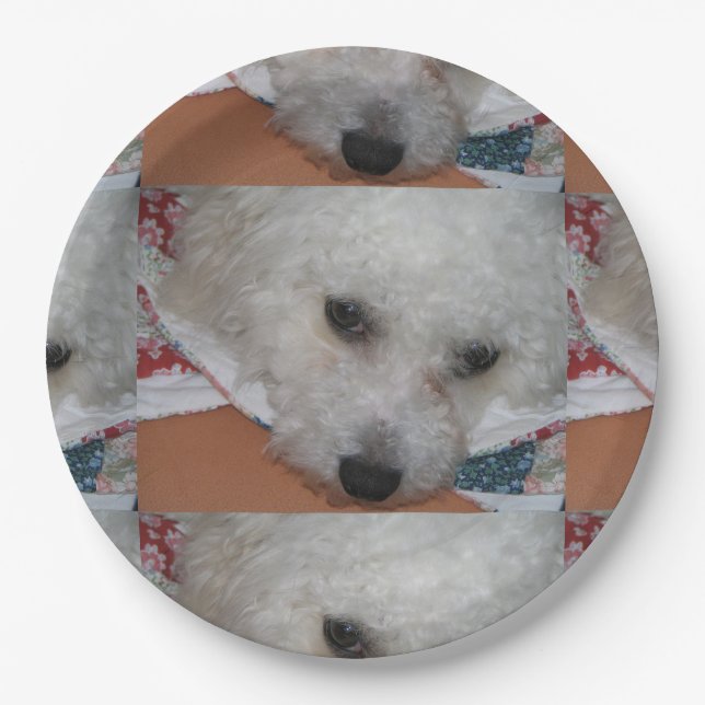 Prato De Papel Bichon Frisé.png (Frente)