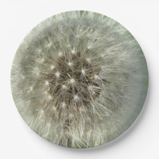 Prato De Papel Big White Dandelion