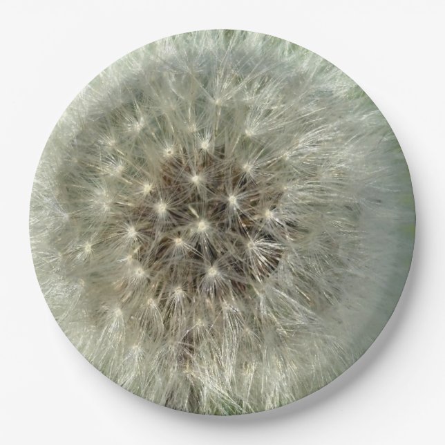 Prato De Papel Big White Dandelion (Frente)