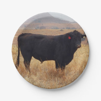 Prato De Papel Black Angus Steer Grazing com seu Herd