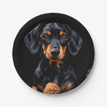 Black & Tan Dachshund