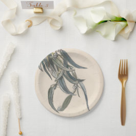 Prato De Papel Bloeiende tak van een eucalyptus