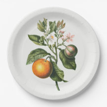 PRATO DE PAPEL: BLOSSOM DE LARANJA