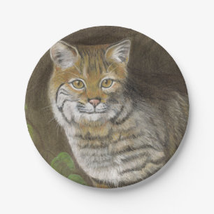 Prato De Papel Bobcat
