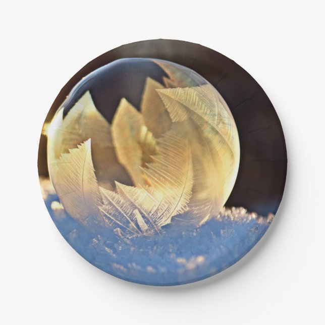 Prato De Papel Bolha de sabão na neve (Frente)