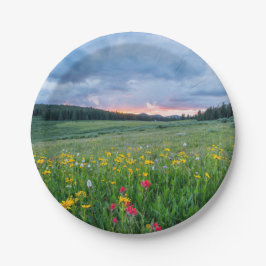 Prato De Papel Bom Dia, Meadow.