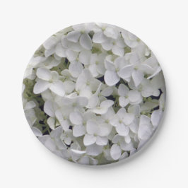 Prato De Papel Bonito Hydrangea White Closeup Foto