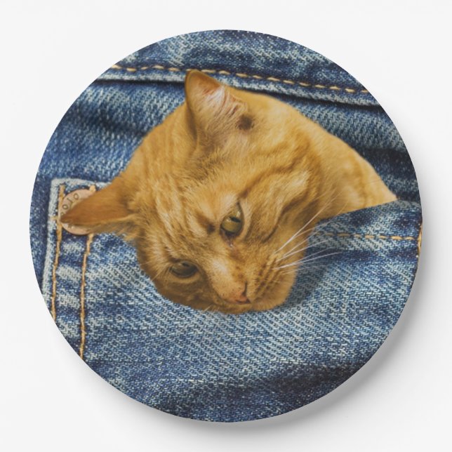 Prato De Papel Bonito presente para guardiões de gatos (Frente)