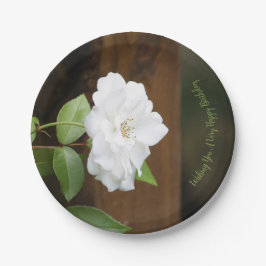 Prato De Papel Bonito Verde Branco E Castanho, Redondos Florais