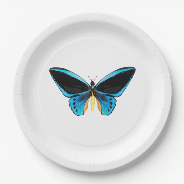 Prato De Papel Borboleta Birdwing (Frente)