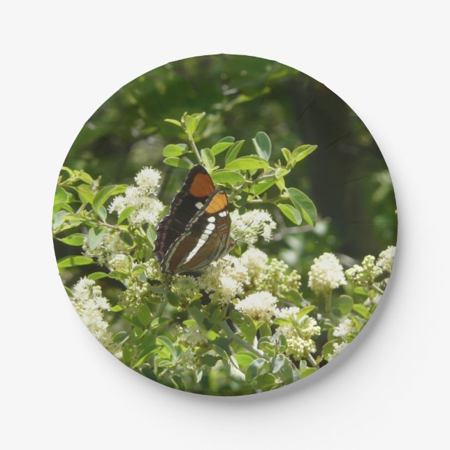 Prato De Papel Borboleta Irmã da Califórnia em Yosemite (Frente)