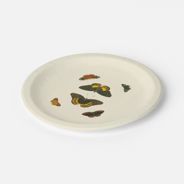 Prato De Papel Borboletas brilhantes por Pieter Cramer (Inclinado)