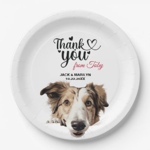 Prato De Papel Borzoi Dog