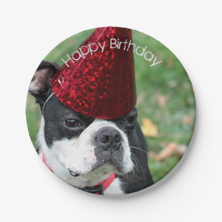 Prato De Papel Boston Terrier