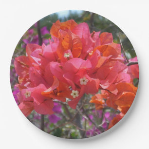 Prato De Papel Bougainvillea rosa tropical