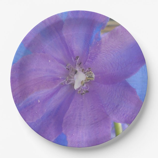 Prato De Papel Bowen (Frente)