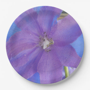 Prato De Papel Bowen