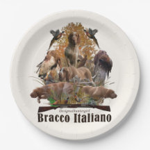 Bracco italiano sherpa blanket