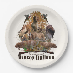 Prato De Papel Bracco italiano sherpa blanket