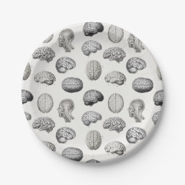 Prato De Papel Brain Anatomy Biology Illustrations