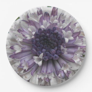 Prato De Papel Brett