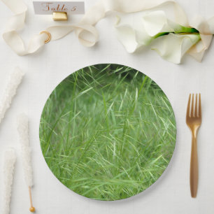 Prato De Papel Bromus tectorum Paper Plate