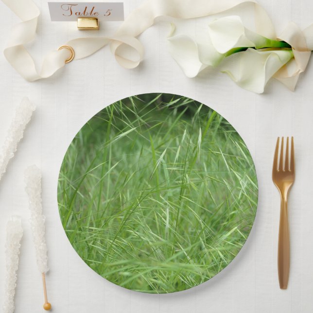 Prato De Papel Bromus tectorum Paper Plate (Casamento)