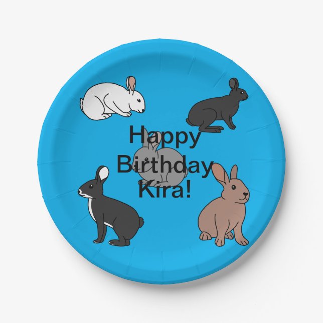 Prato De Papel Bunny Rabbits Aniversário (Frente)