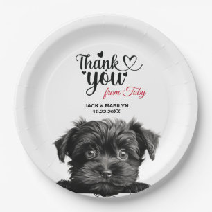 Prato De Papel Cachorro Affenpinscher