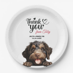 Prato De Papel Cachorro Barbet