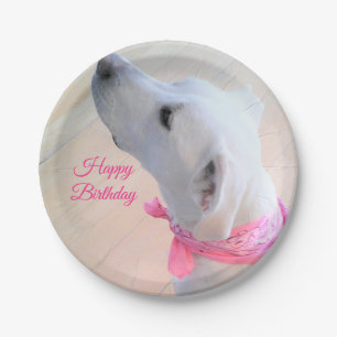 Prato De Papel Cachorro Branco Cachorro Vestido Rosa