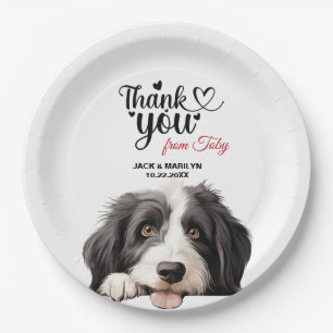 Prato De Papel Cachorro Collie