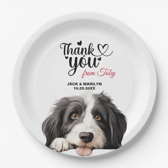 Prato De Papel Cachorro Collie (Frente)