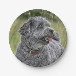 Prato De Papel Cachorro Cortado Terrier