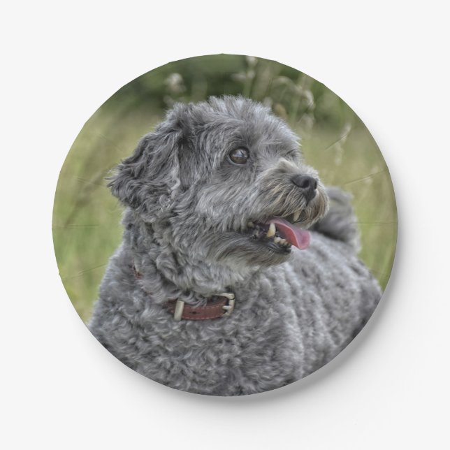 Prato De Papel Cachorro Cortado Terrier (Frente)