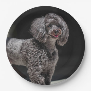 Prato De Papel Cachorro Negro Bonito Cachorro Cabeça Sorria Sorr