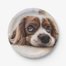 Prato De Papel Cachorro Panelado De Olhos Tristes