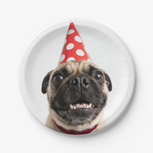 Prato De Papel Cachorro Pug Fofo de Aniversário com Chapéu Vermel