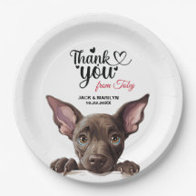 Cachorro Xoloitzcuinti