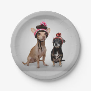 Prato De Papel Cães da chihuahua com foto dos chapéus