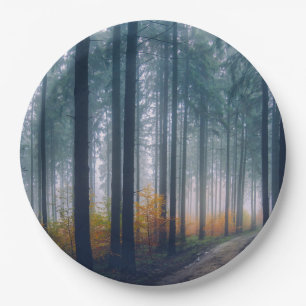 Prato De Papel Caminho da Floresta Majestosa